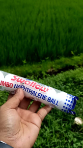 KAPUR BARUS ISI 5 SWALLOW TOILET BALL WARNA PUTIH