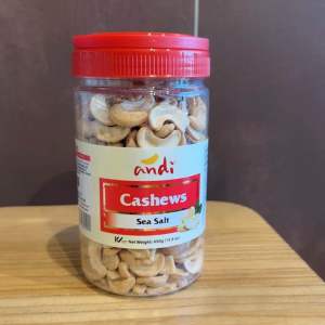 Andi Cashews Salted 450 grams | Organic and Healthy