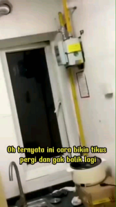 TERMURAH!! Solusi Pengendali Hama & Pengusir Serangga