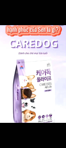 5KG SIÊU RẺ - Thức Ăn Hạt Cho Chó Care Dog dành cho thú cưng mọi lứa tuổi nhập khẩu trực tiếp hàn quốc