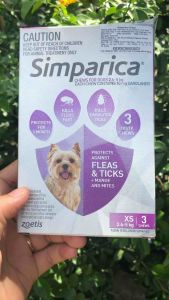 [ 1 viên] Viên nhai cho chó SIMPPARICA 2.6-5kg diệt nhanh chóng ve bọ chét.