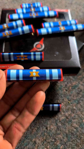 PITA JASA ASN 20 TAHUN - SATYALANCANA ASN 20 TAHUN