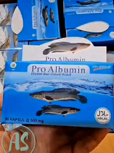 Pro Albumin Kapsul  Ekstrak Ikan Gabus/Kutuk | BERKAH AMANAH