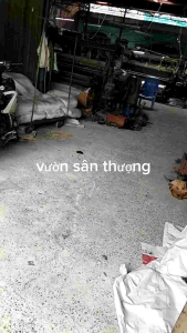 Lưới Mùng (Khổ 1m8) Phòng Sâu Ốc Sên Giảm Mưa Cho Vườn Rau