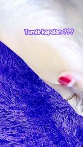 (BONUS KERIKAN & KAPAS) TUMITKU PENGHALUS PEMBERSIH PENGHILANG PELEMBAB TUMIT KAKI KASAR PECAH-PECAH DAN KERING