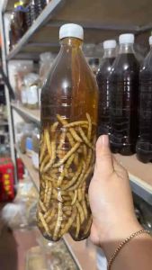 ( MUA LẺ - SỈ  GIÁ GỐC ) Tuu Sâu chít tách sẵn (Đông trùng hạ thảo Việt Nam)- Tây Bắc Food 277