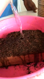 Hasilbumiku - Media Tanam Cocopeat Sabut Kelapa Halus Rendah Zat Tanin Murni Sudah di Fermentasi Untuk Tanaman Hias/Sayuran 1kg Kualitas Premium