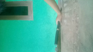 COD GOLOK SEMBELIH HEWAN/SAPI/KERBAU/KAMBING. SUPER TAJEM