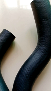 SELANG RADIATOR SUZUKI FUTURA ATAS BAWAH