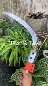 EGREK KLS PALMKING LONG BLADE BAUT DUA ORIGINAL MALAYSIA SIAP PAKAI
