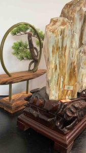 TSK Crystal  SHY007 天然树化玉 黄里透白 色泽圆润 特制雕刻实木底座 Natural Tree Fossil Jade