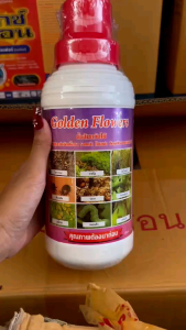 น้ำส้มควันไม้ Golden Flowers ใช้สำหรับป้องกันและกำจัดศัตรูพืช แมลง เพลี้ย หนอน #น้ำส้มควันไม้