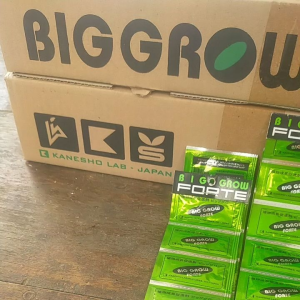 BIG GROW FORTE saset 1gr: Pemicu Pertumbuhan Akar & Batang