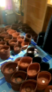 peci akar/peci rotan/peci kalimantan
