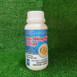 Phân bón hiệu VUA NẶNG KÝ TO HẠT chuyên dùng bán lúanếp tươi vô gạo nhanh chính chắc tới cậy
