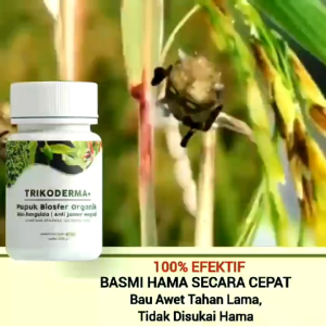 Tricoderma BELI 3 GRATIS 1 250ml Fungisida Pembasmi Jamur Pencegah Layu tanaman Patek Cabai & Busuk