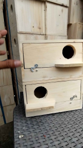 Front door nestbox size 6x6x10inches for African budgies and parakeet