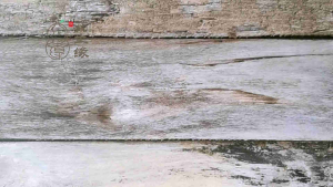 【正品】 益寿方 30粒 中药配方 专治 热咳 热痰 干咳 喉咙发炎 伤风 Chinese Herbal Formula Yi Dhou Fan 30 Capsules  Exp:2028 Yishoufang - Lazada