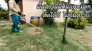 เอ็นตัดหญ้าสี่เหลี่ยม 2 ชั้น ขนาด 3 มิล เหนียว ทน