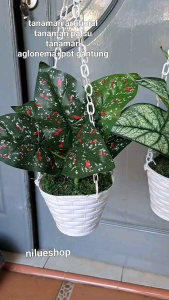 Bunga Artificial Gantung & Tanaman Palsu Pot Gantung