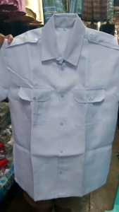 White Polo for Seaman/nuetecal