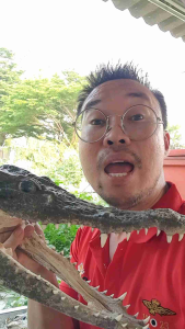 หัวการศึกษาเรียนรูู้ จากฟาร์มจระเข้ ลำพูน - สต๊าฟ สำหรับการศึกษาเรียนรูู้ จากหัวจระเข้ สต๊าฟ ลำพูน