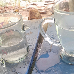 Batu Amber Katilayu Getah Kilayu: Manfaat & Penggunaan