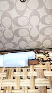 READY STOCK RS (PREMIUM QUALITY 1:1) BRANDED TOTE NEW HANDHELD