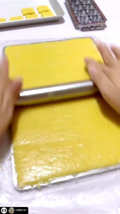 cetakan cookies cutter motip kupu kupu