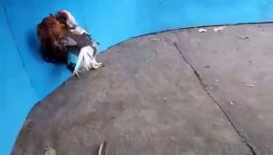 จำหน่ายไข่ไก่ชน คลิปพ่อพันธุ์เกรดVIP สายเลือดดี ไข่ไก่ชนก๋อยกัดทุบ เจ้าขาวราชันย์ ไข่ไก่ ไข่ไก่ชน - Lazada