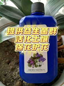 KING LAN LING PUPUK khusus anggrek pemacu pembungaan pada Orchid