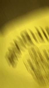 8 in 1 KAB SCOUT COMPLETE SET: Your Ultimate Outdoor Survival Kit