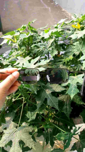 ATM1001GY Kacamata Baca Plus Auto Fokus Lensa Redup Anti Silau Untuk Pria dan Wanita