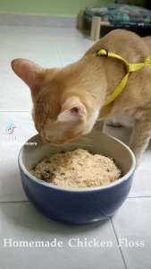 Malaysia Homemade Chicken Floss Pet Snack Pet Treats Cat Treat Dog Treat