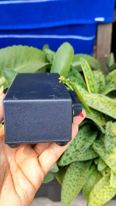 [COD] ampli mini model Ca20 baca deskripsi