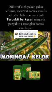 Moringa Natural Herb original HQ 100% ORIGINAL HQ TEH DAUN KELOR TEH MORINGA ASLI MORINGA Sugar Free Buah Tea