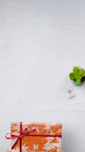 PETTALURE Hijab Kerudung Luxury & Scarf by Nadheera