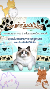 ทรายแมวเต้าหู้แบบเกล็ดผสมไม้สน แพ็คคู่ เกรดพรีเมี่ยม กลิ่นน้ำนมข้าว