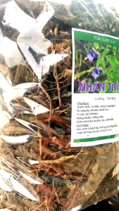 1kg nhân trần khô thanh nhiệt giải độc mát gan chuẩn hàng loại 1