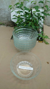 Mangkok Kaca Tahan Air Panas 6PCS: Pilihan Terbaik untuk Mie Ayam dan Bakso