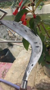 Arit Merek Dewi Sultan Model Jawa Siap Pakai & Super Tajam