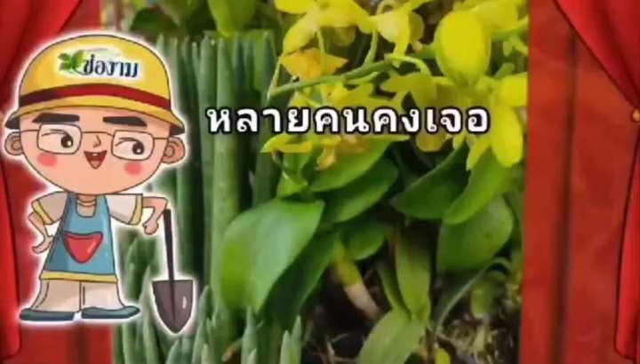 ช่องาม สเปรย์สารชีวภาพ 500ml พร้อมใช้