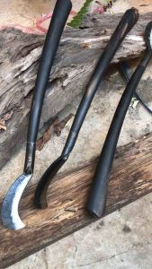 พร้าปากนกแก้ว