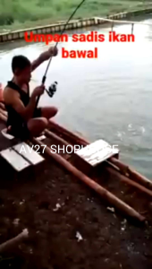 Essen Cina china Essen Bawal Essen Lele Galatama Galapung Harian Essen Juara Essen Ikan Essen Cina 9 Naga Essen Pancing