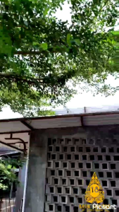 SARUNG BATIK HANMADE MOTIF KEMBANG TRUNTUM QUALITY PRODUK NEW