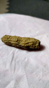 Batu alam ornamen kacang istimewa