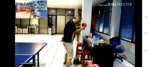 BOLA TENIS MEJA LATIHAN TOP SPIN