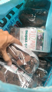 Combo 2 gói Vỏ thông trồng Lan đã xử lý - Size 18-30mm 500gr