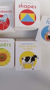 My first learning library boardbook ภาษาอังกฤษสำหรับเด็กเล็ก boxset 20 เล่ม