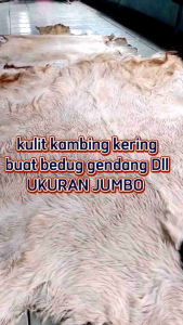 KULIT KAMBING KERING UKURAN JUMBO (BEDUG GENDANGREBANA)